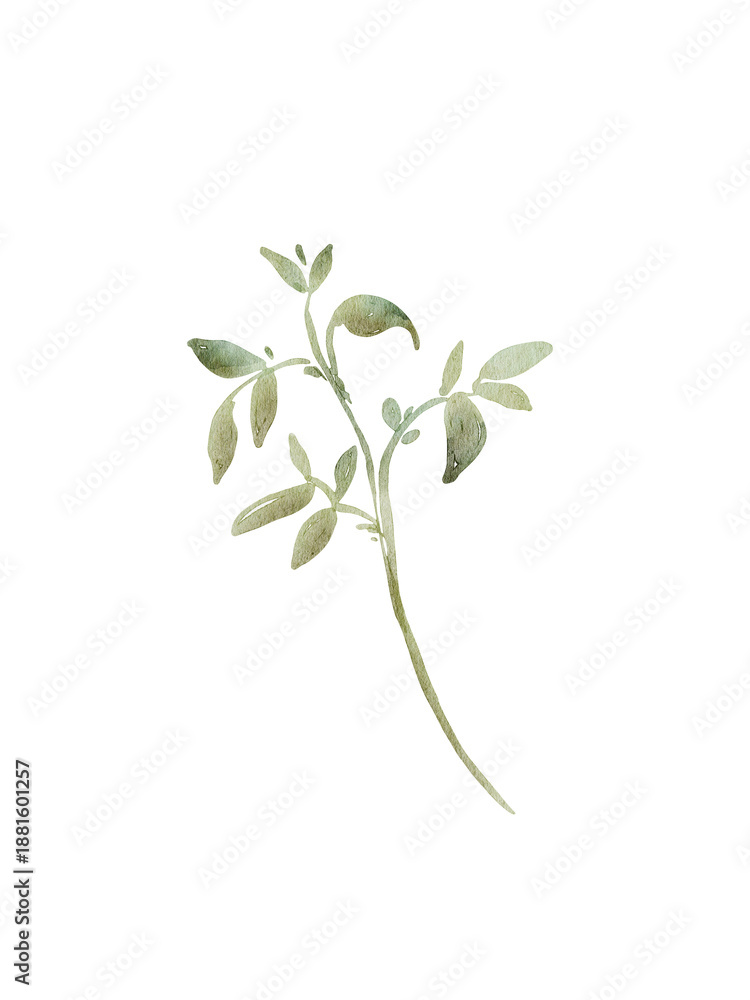 Obraz premium Watercolor leaves