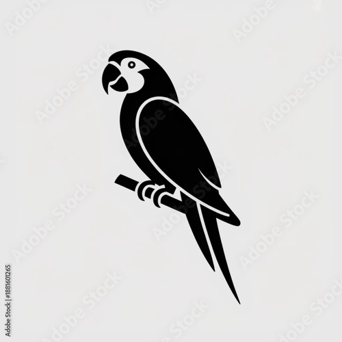 vector illustration of a bird