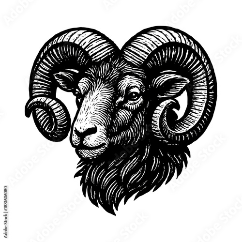 Intricate black and white ram head with spiraling horns.