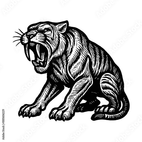 Fierce roaring saber-toothed tiger illustration in black and white.
