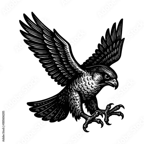 Intricate black and white illustration of a falcon with extended wings and sharp talons.