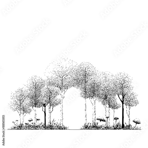Black and white forest trees landscape drawing with mushrooms and grass vector illustration nature scenery design