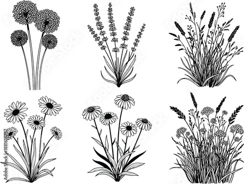 Hand Drawn Minimalist Floral and Grass Bunches in Black Ink Line Art Illustration Style
