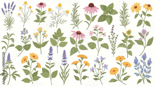 Diverse colorful wildflowers botanical pattern with vibrant flower