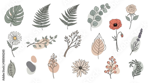 Collection of minimalistic botanical illustrations featuring leaves and
