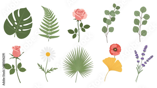 Delightful Botanical Illustrations Featuring Tropical Leaves and Blossoms for