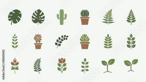 Collection of diverse stylized succulent and leafy plant illustrations for
