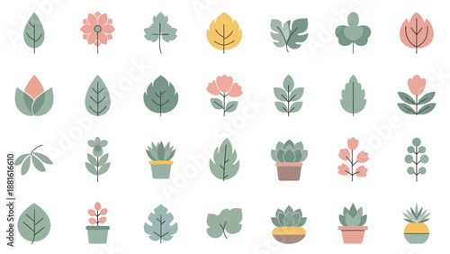 Minimalist floral illustrations featuring various leaves and potted plants in