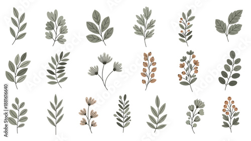 Collection of Minimalist Botanical Illustrations Featuring Diverse Leaf and
