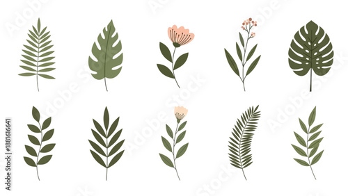 Minimalist Botanical Leaf and Flower Illustrations Collection for Eco-Friendly