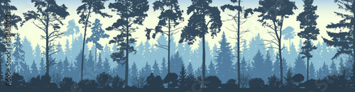 Seamless coniferous winter forest background. Pine, spruce, fir, christmas tree. Nature, landscape. Fog evergreen coniferous trees. Silhouette vector illustration