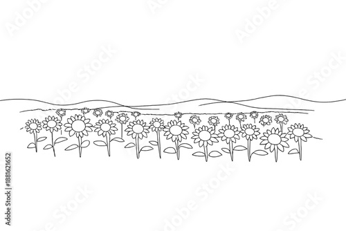 "Sunflower fields". Minimalistic one-line drawing vast field of sunflowers with tall stems and blooming heads