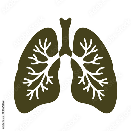 a graphic illustration of human lungs with visible bronchi and trachea