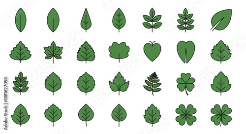 Collection of various green leaves on white background, showcasing different shapes and types in a flat lay composition.