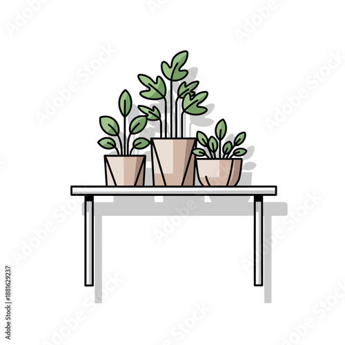 Modern Minimalist Houseplants on Shelf - Flat Design Illustration