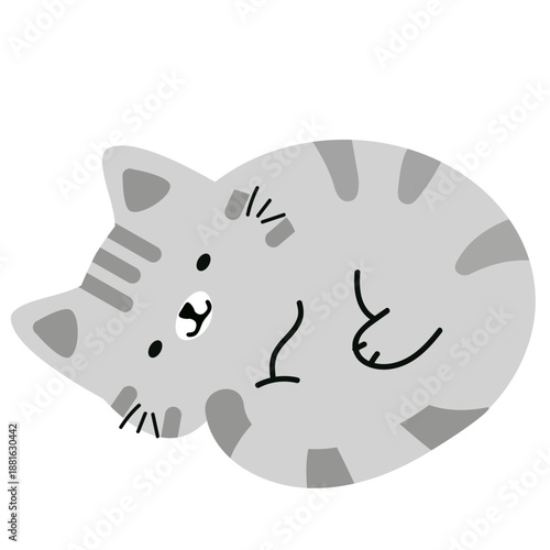 Cute Gray Kitten Illustration