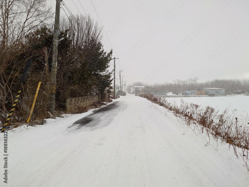 Obraz premium 舗装された道幅の狭い道路（冬）