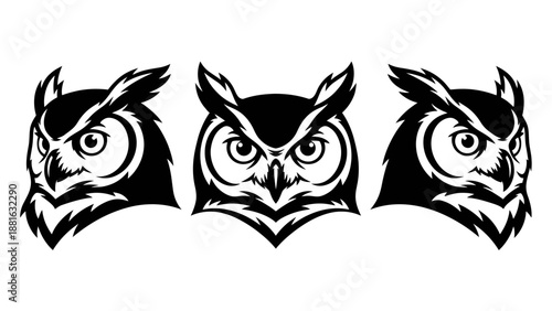 Bold Black Owl Trio Heads Intense Wise Bird Illustration