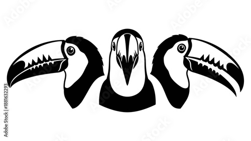 Bold Black Toucan Trio Heads Large Beak Tropical Bird Illustration