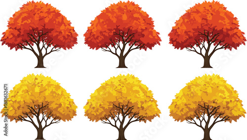 Autumn trees vector set featuring orange and yellow foliage isolated on white background for seasonal nature design illustration collection