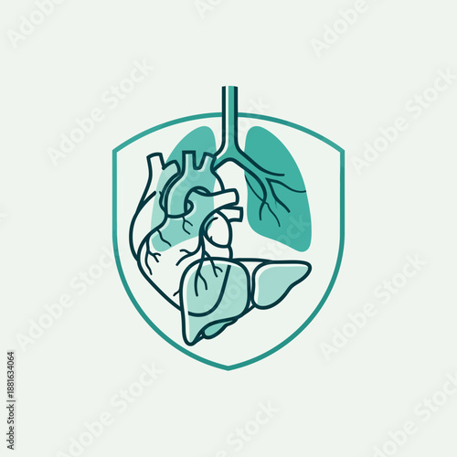 Human Organs Health Care Shield Icon Vector - Heart, Lungs, Liver Protection