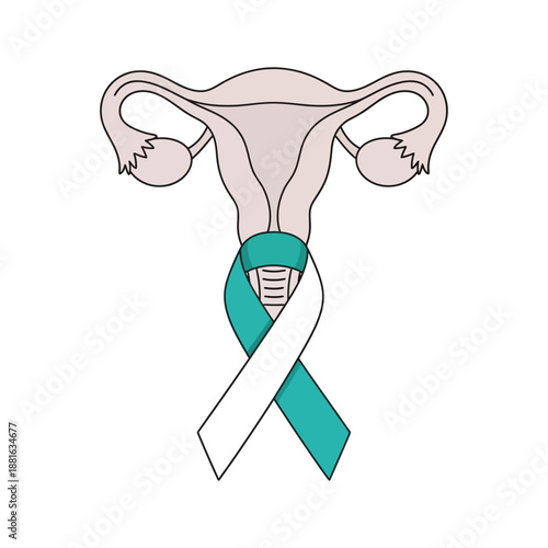 Uterus with teal and white ribbon, female reproductive health awareness