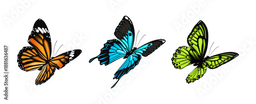 Butterflies with antennas and bright wings flying. Vector collection of insects in motion, biodiversity and variety of species. Nectar feeding insects, realistic winged creature set