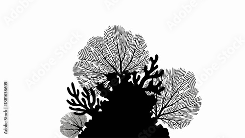 Intricate black coral silhouette with delicate branching structures on white background