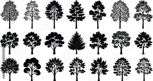 Black tree silhouette collection featuring various forest and deciduous shapes isolated on white background flat vector illustration set