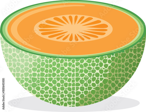Melon cantaloupe icon with netted skin. 