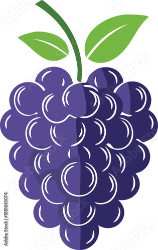 Mulberry icon with clustered berry look