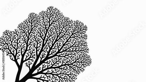 Intricate silhouette of a tree's branches against a stark white background, symbolizing growth and complexity.