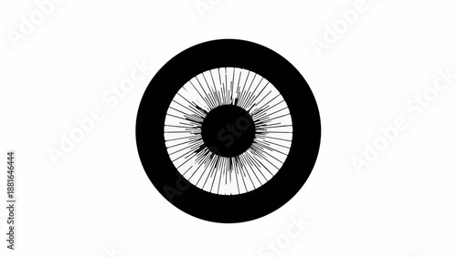 Abstract graphic representation of an eye with radiating lines against a white background