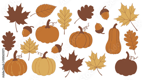 Assorted autumnal pumpkins and leaves arranged together in a harvest-themed illustration from a directly overhead viewpoint
