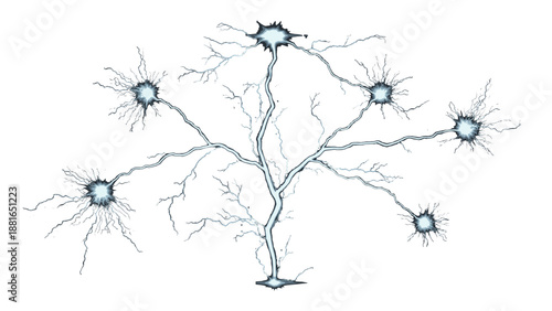Network of interconnected neurons with branching dendrites and axons in a neural system viewed from a microscopic perspective
