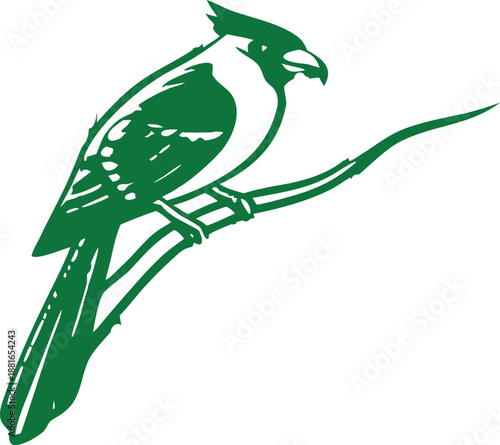 The most beautiful birds and tree  ship vector