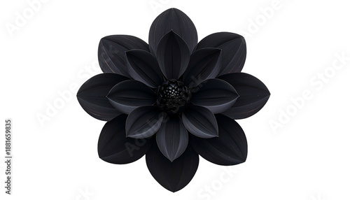 Dark, symmetrical, close-up view of a velvety black flower with layered petals