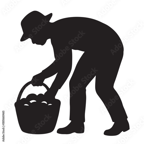 Farmer working in the field, gathering fresh produce into a basket during harvest time