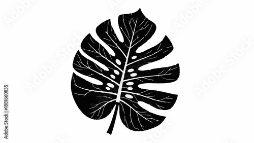 Bold black monstera leaf silhouette on a clean white background