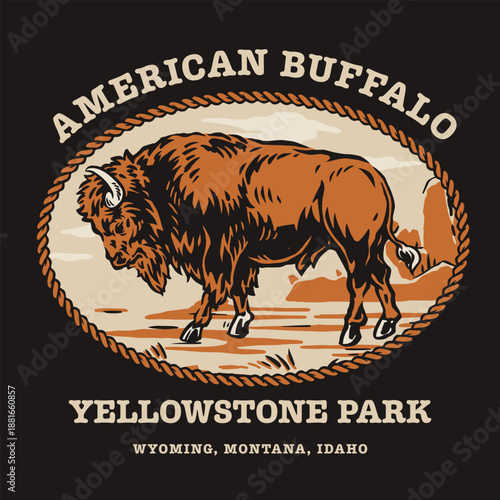 Buffalo in yellowstone park