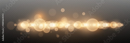 Sparkling lights lights and bokeh, magical light particles.