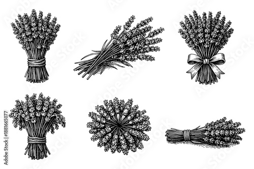 Vintage floral bunches: detailed black and white botanical drawings