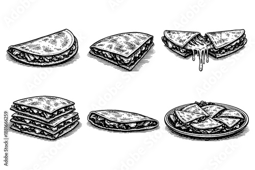 Hand drawn mexican cuisine variety featuring cheesy quesadilla dishes