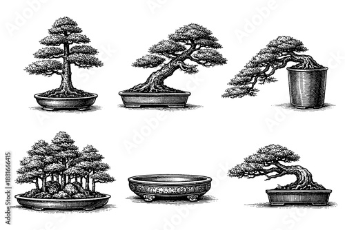 Elegant collection of black and white bonsai trees in vintage style