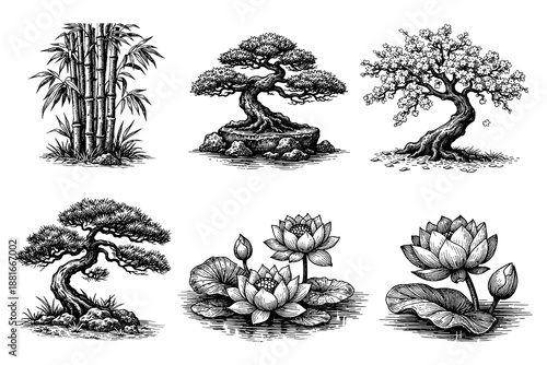 Elegant ink drawings of bonsai, lotus, bamboo, and cherry blossom trees