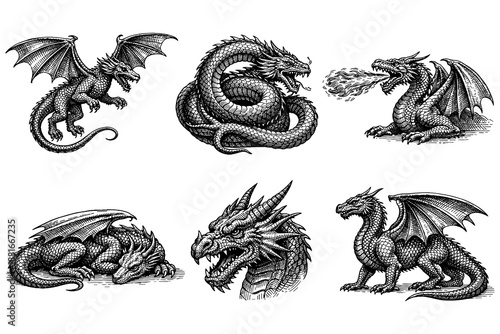Intricate dragon designs in monochrome ink engravings