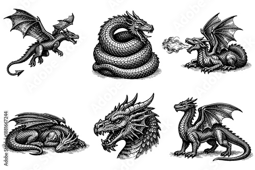 Intricate black and white dragon sketches in various poses