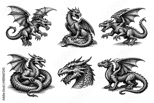 Set of hand-drawn mythical dragons in detailed monochrome style