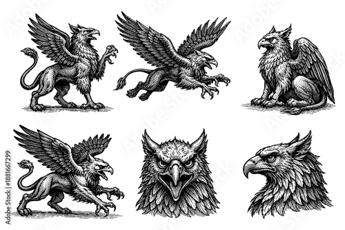 Mythical creatures set: detailed gryphon designs in black and white