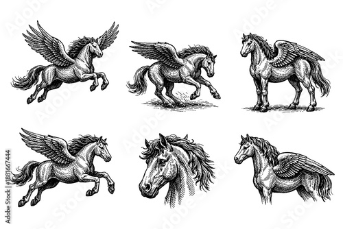 Collection of winged mythical horses in detailed vintage style artwork